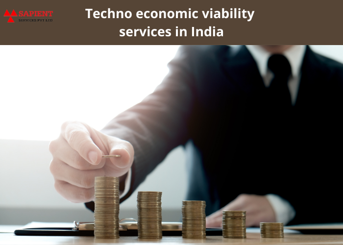 Techno economic viability services in India-44111c03