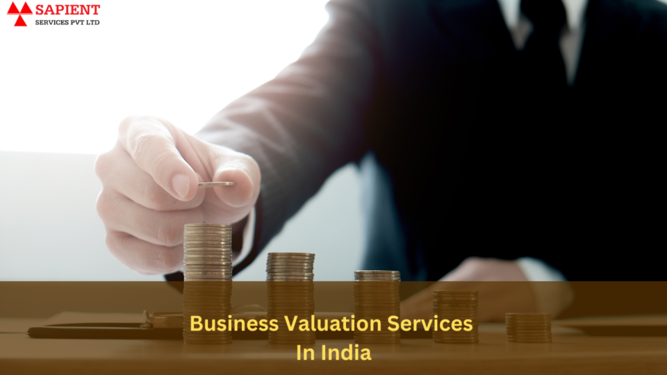 business valuation services in india (2)-a9c33f8e